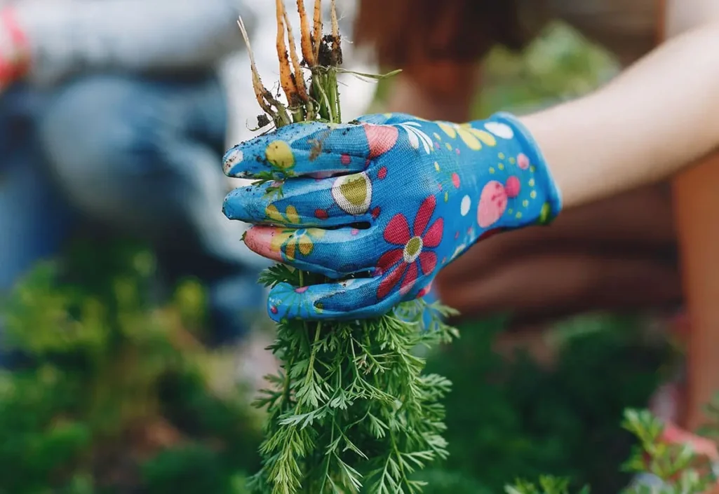 post-img-10-min post-img-10-min