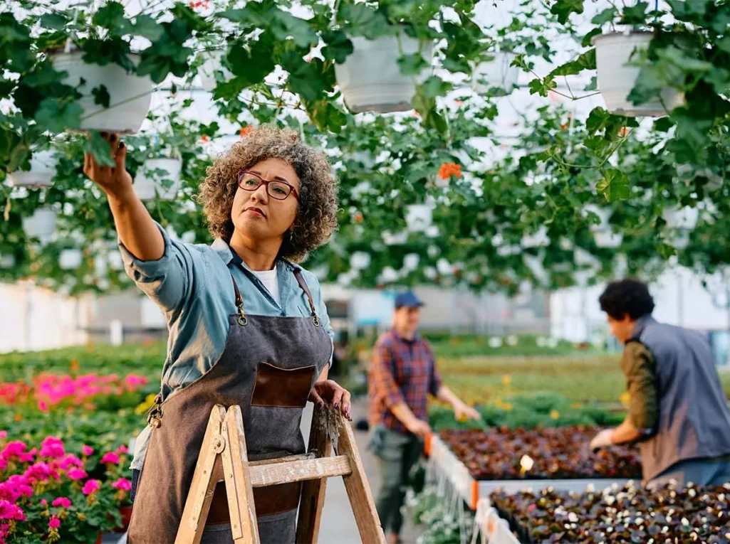 post-img-13 post-img-13